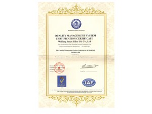 ISO 9001 Quality Management System Certification