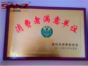 Sanze silicone sealant workshop Honor